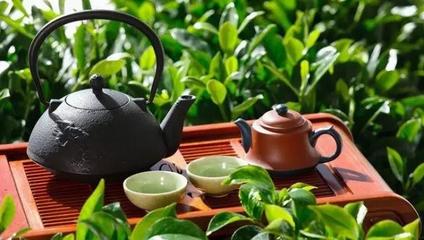 春茶上市，辦公桌上的那一杯，是“真香”還是“套路”？幾招教你輕松辨別